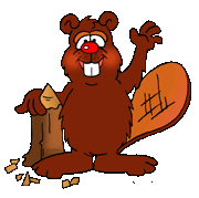 Resourceful Beaver